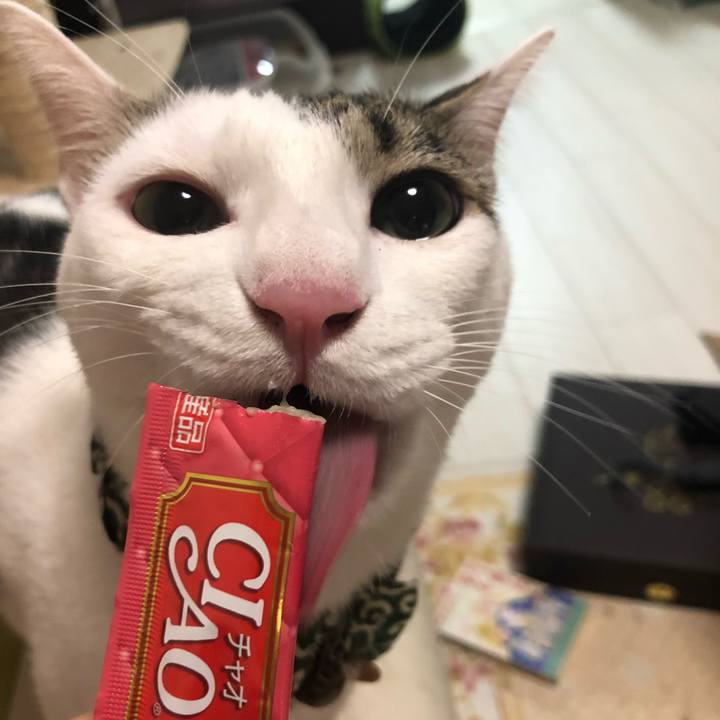 60fe3632 f0de 4357 8104 ff4740997275 1537880493457