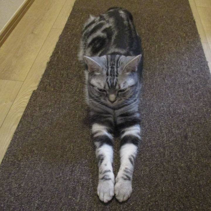 60fe84d6 26d9 4852 9fc7 f214cf695284 1570878042051