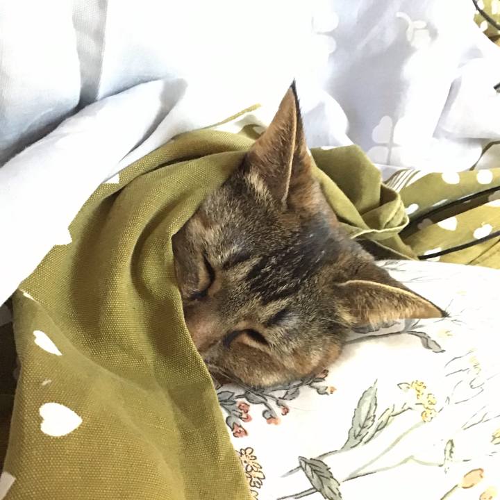 60fe9c7e 9819 4d96 8c3b 76b0a6a8b738 1699443719241