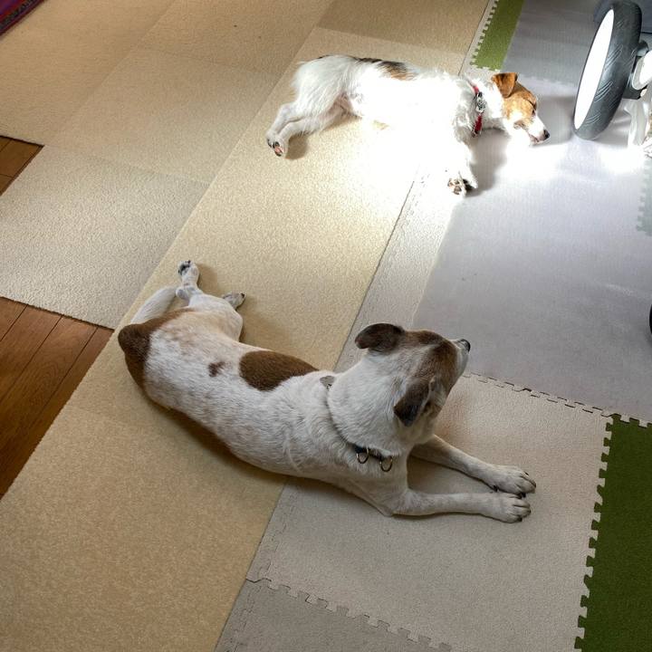 60feb969 4826 4e99 b8db b3c18200925c 1637976566444