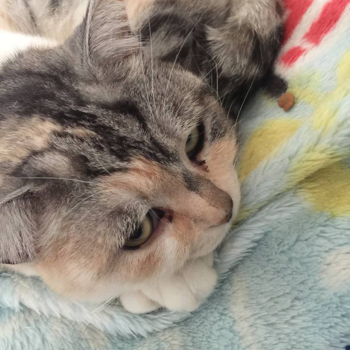 60ff51f1 46b9 49ae 8a3b 5e05285520c1 1547603081871