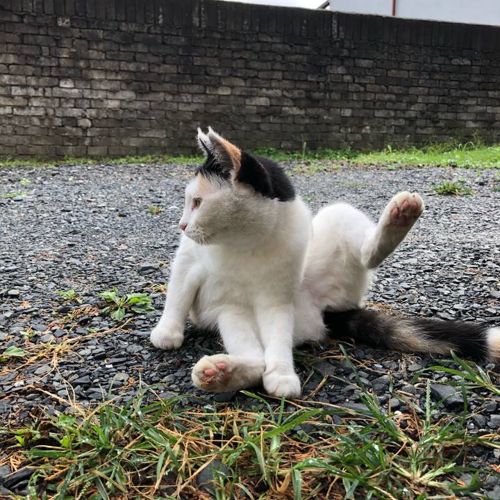 60ff6930 a5b6 4a6b 9163 26489c2c31b8 1600294665231