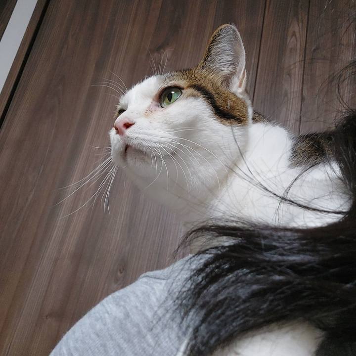 60ff74e2 4d44 46e3 9b11 4424cac6d4f8 1697778615571