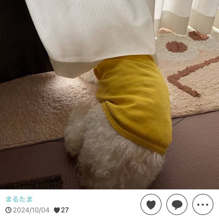 60ff8e60 f4b6 4abf 817c 84c41fff96d4 1759561234046