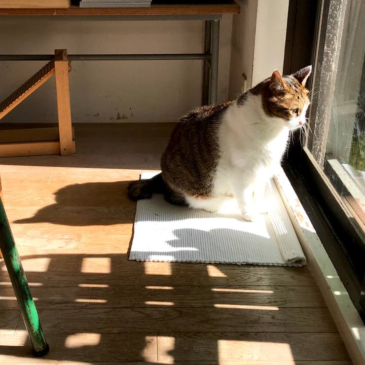 60ff93ee 244e 4d2c 9f19 1bf5bd386ddc 1574994727943