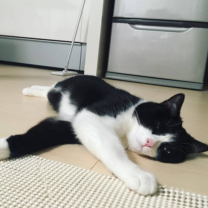 60ffa333 053d 49f2 8278 2f258b834e18 1593082699257