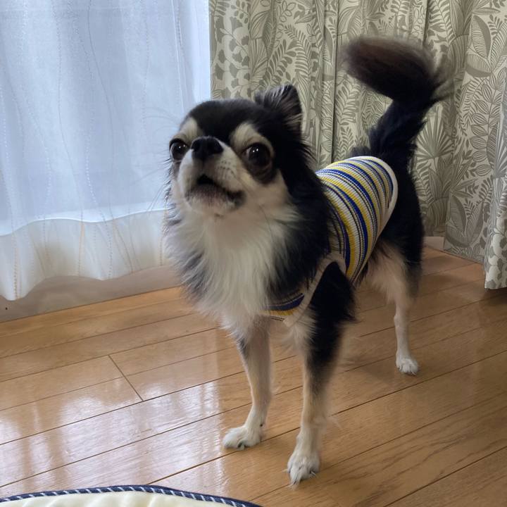 60ffb964 5e7e 4ed7 b4d5 13eeec850bac 1696777021137