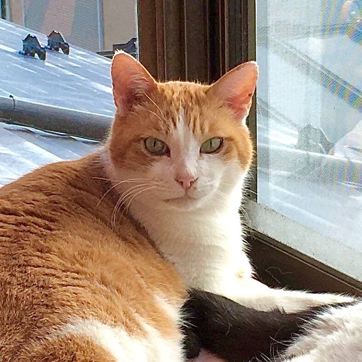 60ffc194 8f35 47ba 9963 c44a94b52fc9 1577954240618