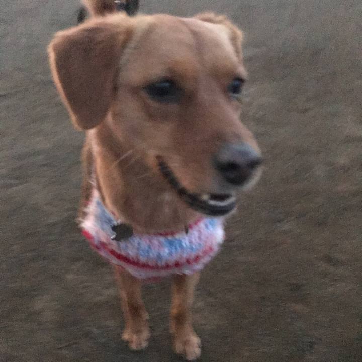 60ffd99b 0438 415d a2c5 601423f7b49e 1549110963360