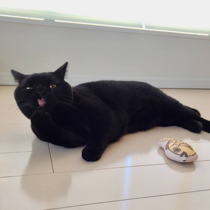 61000de4 85e1 4a15 bdf5 17c50854d864 1512342055466