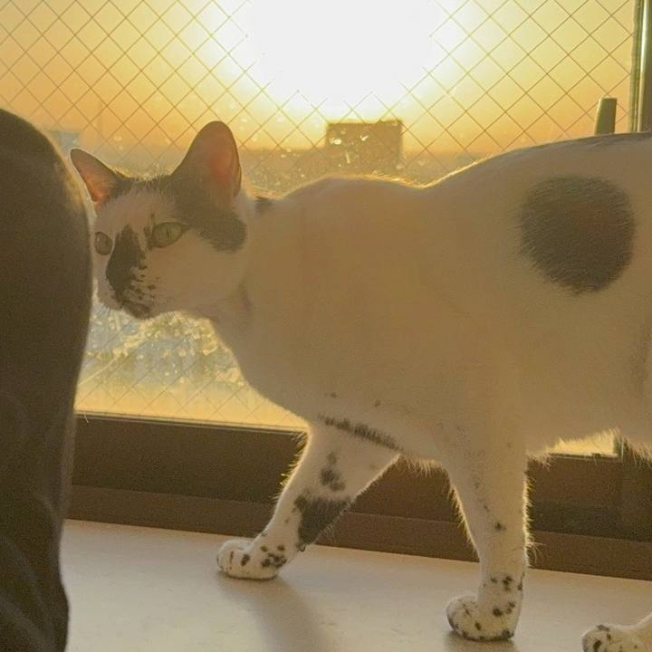 6100125e b7a6 43b6 b855 d6b788592b48 1764642726693