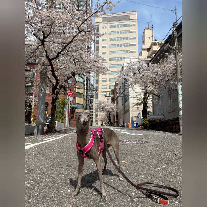 61001b53 e5db 4dba 87cd 61ed46a6846b 1775634049760