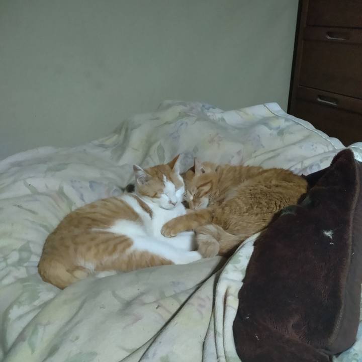 6100483c 7519 490f 82db 89675bd53014 1741787938911