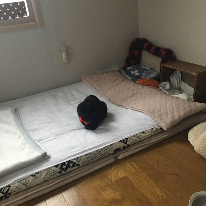 610079b4 a78d 48fe b158 1102fa30d616 1551305221610