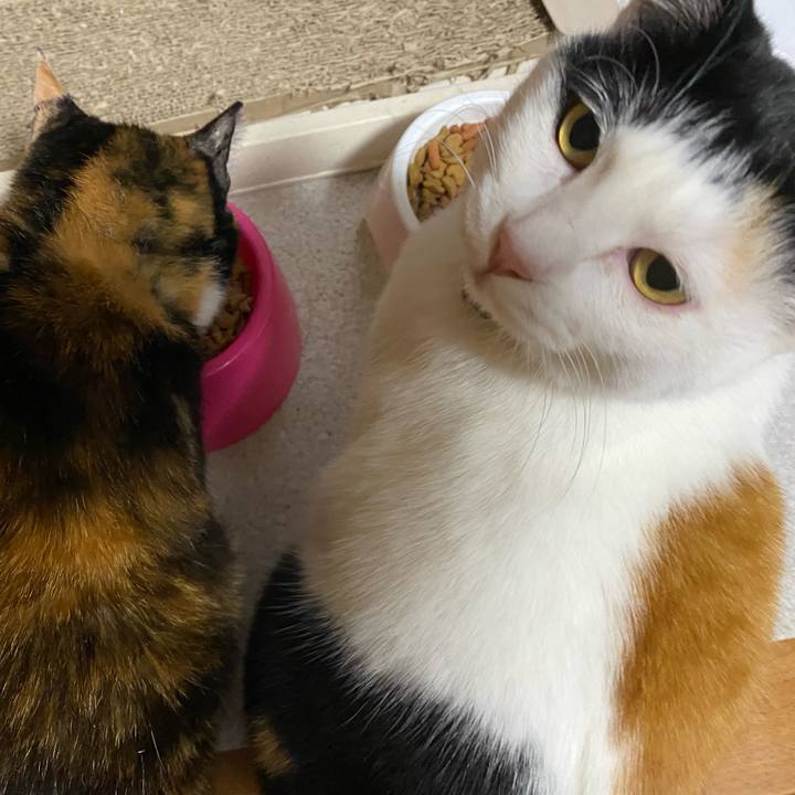 6100a81b ca5f 4d9e 8285 97bda3f155e1 1649105686773