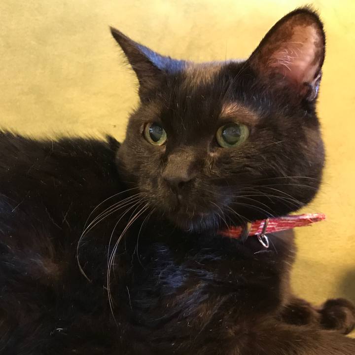 6100d980 b6f9 42bd a4c4 c70e16c53d03 1572692112092