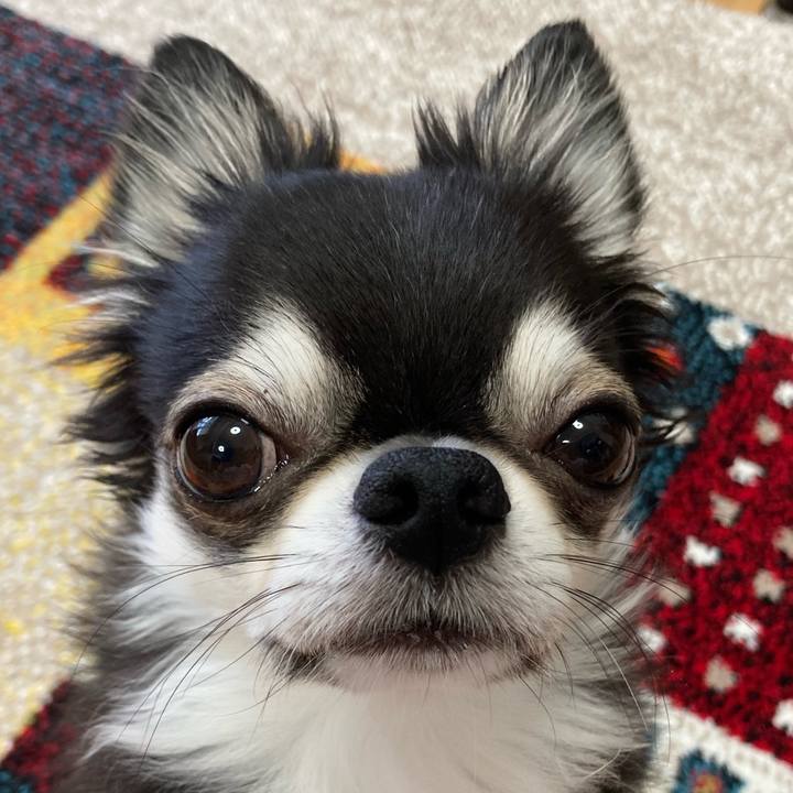 6100e030 361f 490f 9341 4bc30eca796e 1692999643785