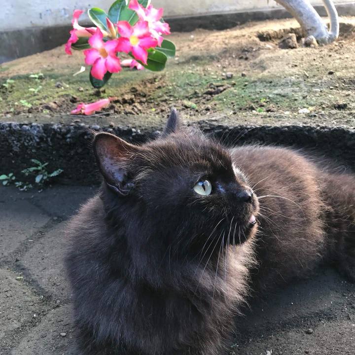 6100eb92 6aa1 400f 9e0c 1b7fed12bc68 1763030746811