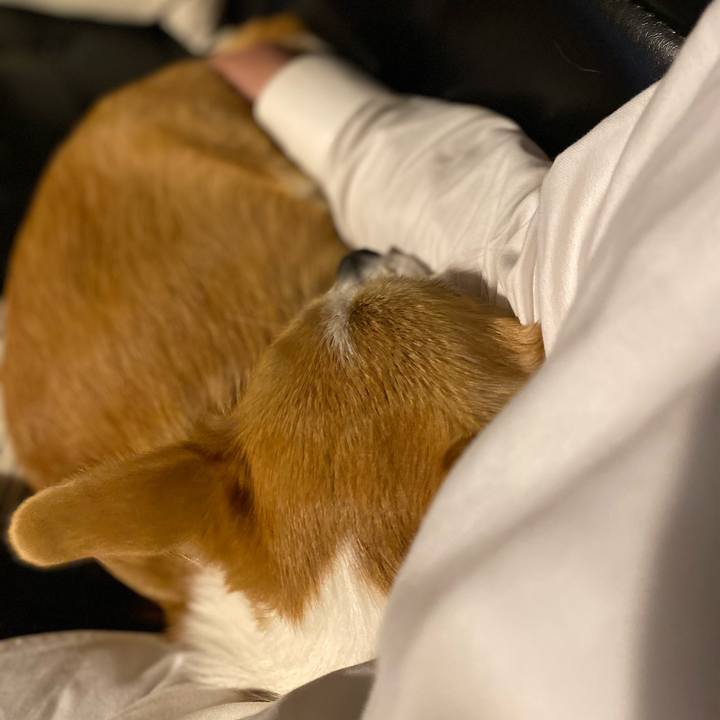 6100f387 f4cb 4ad8 b604 593ed199efc8 1608279725322