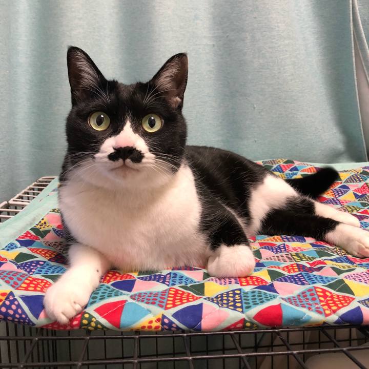 610112c5 c5af 4622 a82a f7ef1460382b 1518444047867