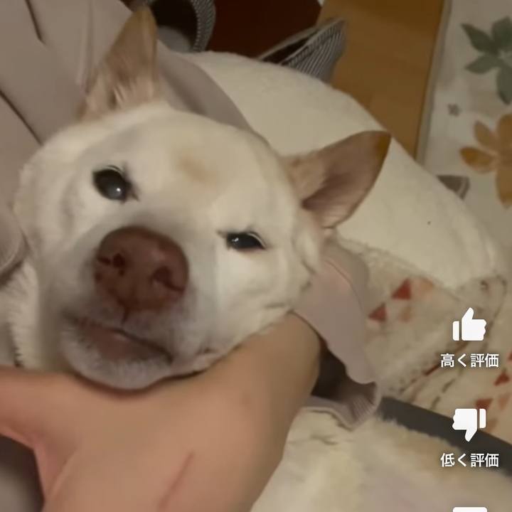 610117ee 6407 46b3 adf5 5427cc1ac7c3 1675200589678