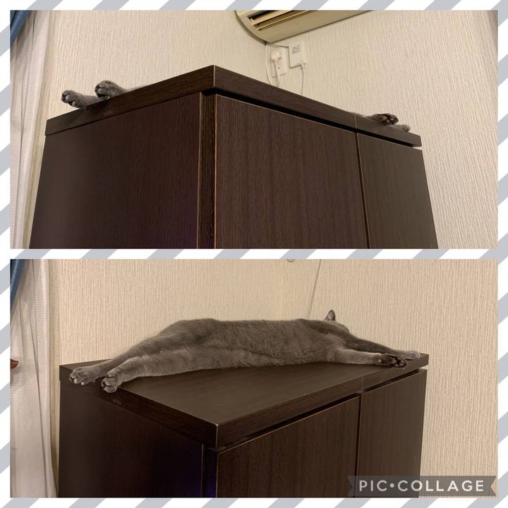 61018894 4482 4aa7 8ddc 8417b753a4a4 1648037794417