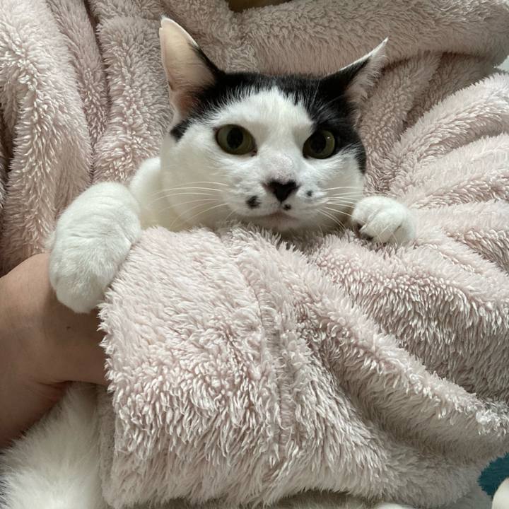 610191ba 2708 4f89 88ea 54f940c23b51 1769805556031