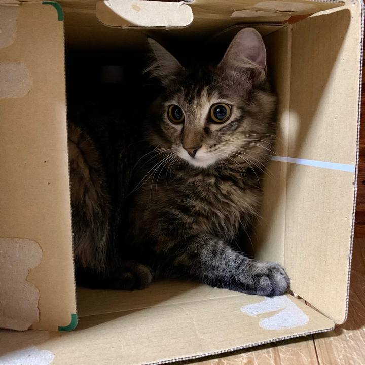 6101a868 739e 438a 8576 a9b9f656fc67 1647347256484