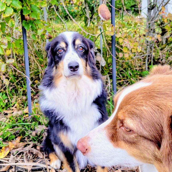 6101af48 3b01 4592 bba3 524f9c7c3fc5 1761736514768