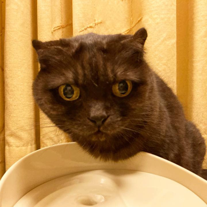 6101bc41 b821 46b8 b273 c216c77f6723 1606050144000