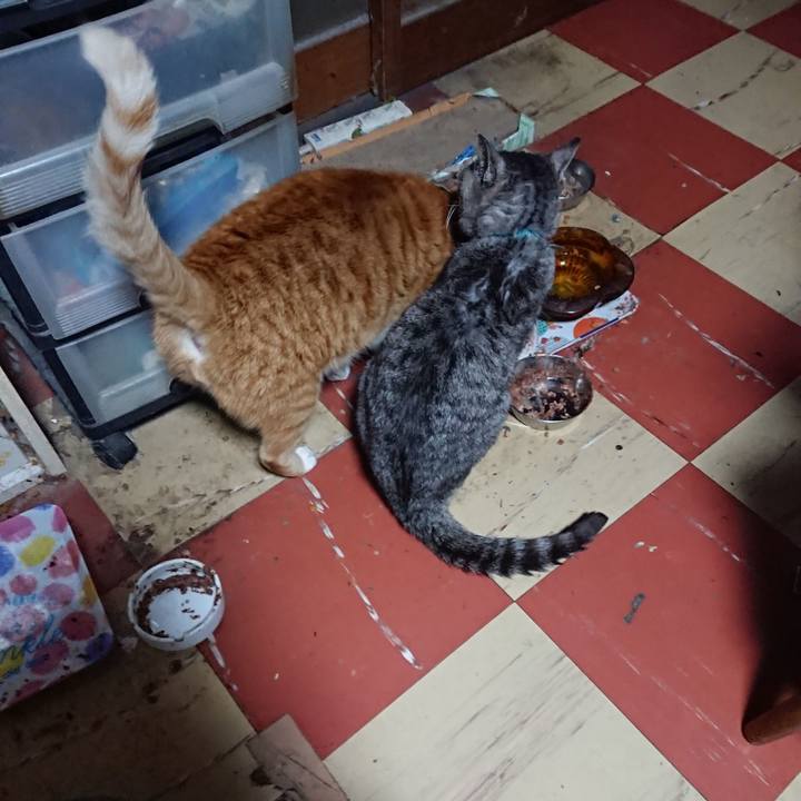 6101bf73 203f 4c21 8fae ea82f68eabdf 1575056651534