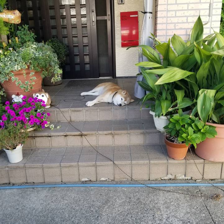 6101d47f d212 4038 9ca2 b55e48e77309 1693354022772