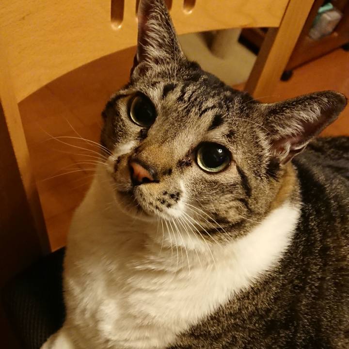 6101d9a7 8582 4585 bf2a fa1d2c7d8032 1580088045607