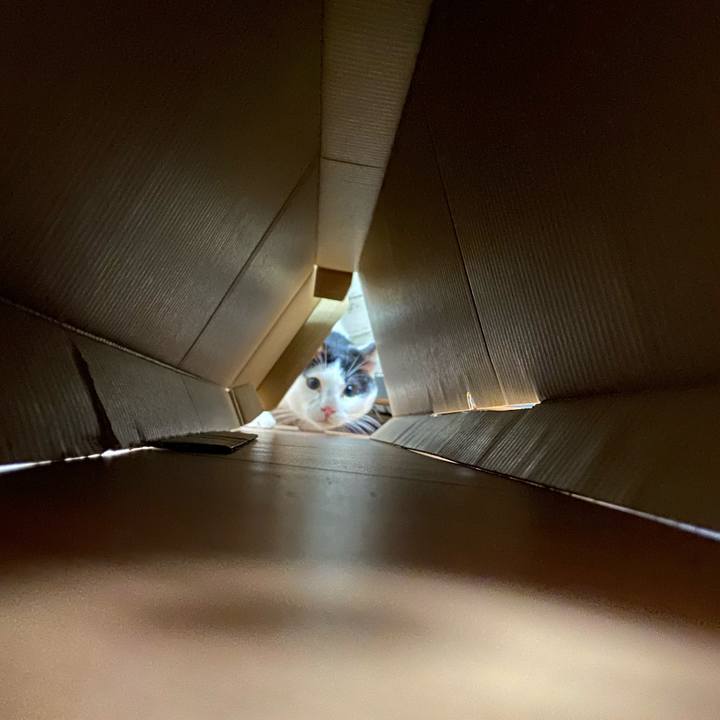 6101e3a7 7eb7 40dc 8b59 6cb0271a4812 1606476379861