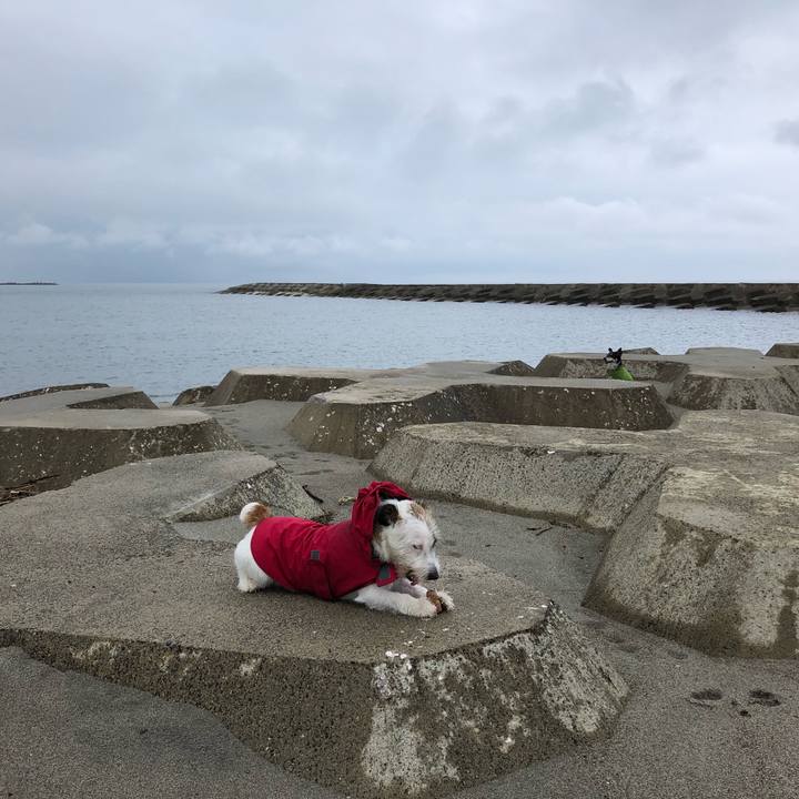 6101f20a 102e 44fb b972 db7c1795f77e 1566345892418