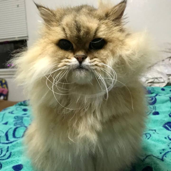 6101fc26 46f9 469b 98e0 de405ac75904 1544370215909