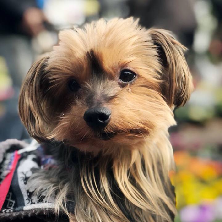 610230a3 7430 4177 9c11 c7fac5d8dbe9 1510461468344