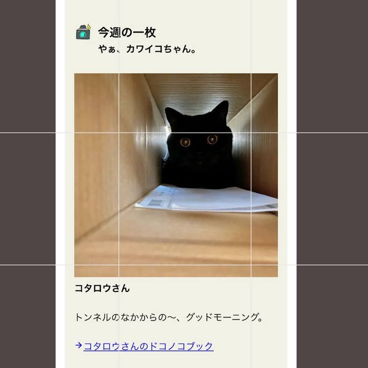 61025ac7 1ad0 4418 8d36 75ba36bfe7ae 1719998146610