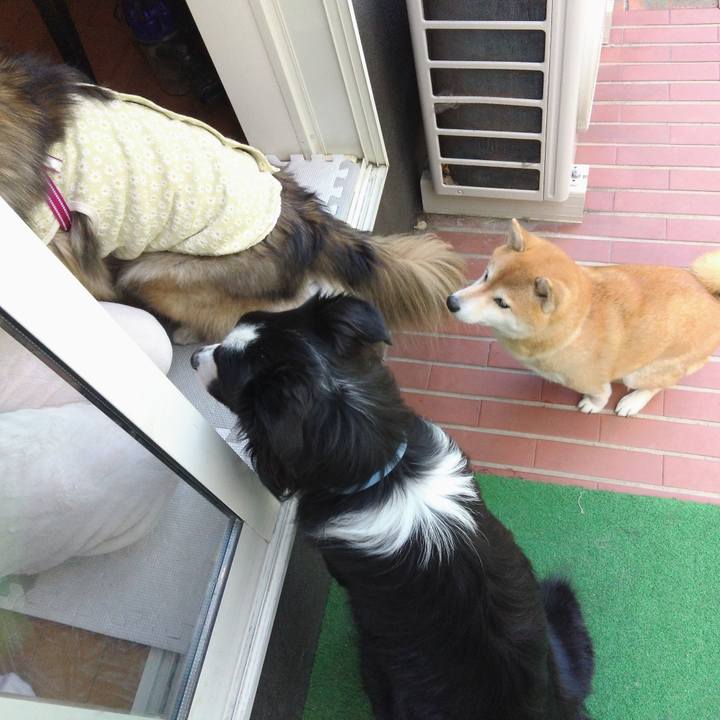 610296a0 7cee 4d87 931f 5b0cd0730483 1766810292819