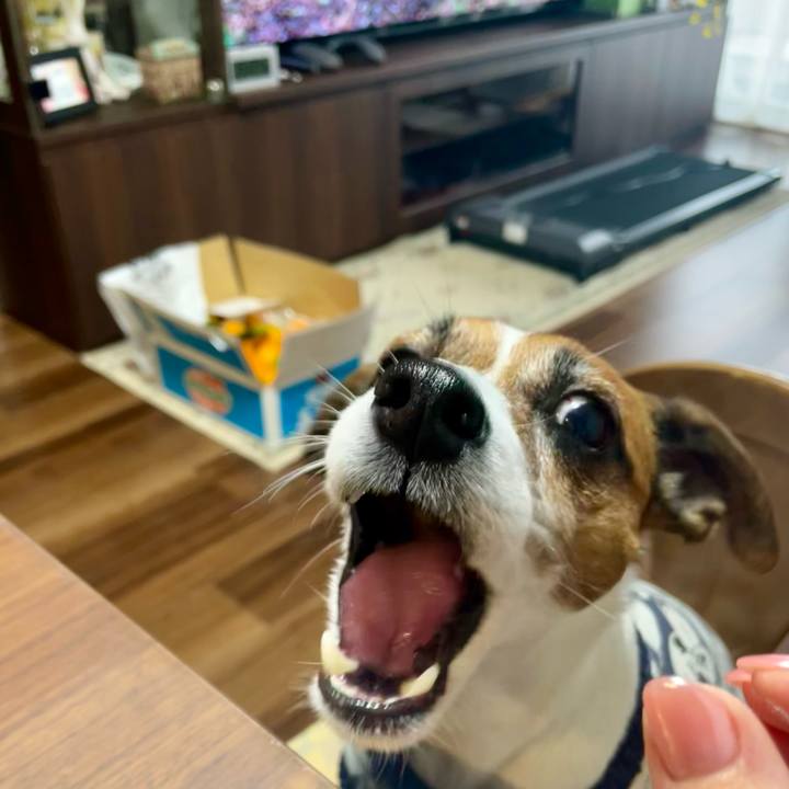 6102d483 f3a8 4abd acc8 7fc04280b03a 1740003472488