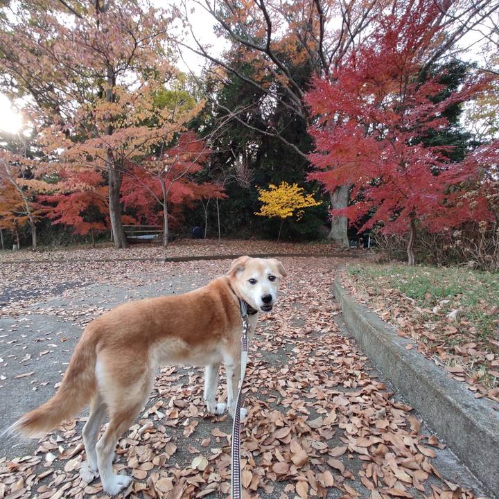 6102f87c 14a5 465a b507 d67b33be7795 1607756066812