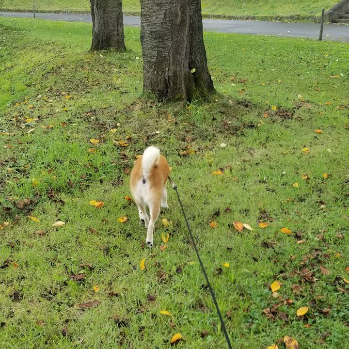 61032415 b0a3 4076 a3ea 51d1c6d4c240 1662169704070