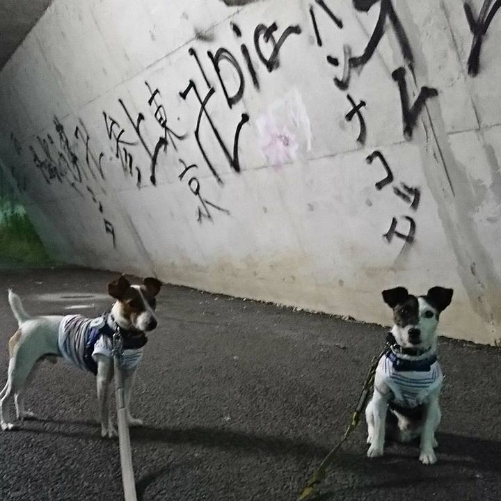 61032dbc 1d41 470c 8b7f 94e93c569b27 1532610202791