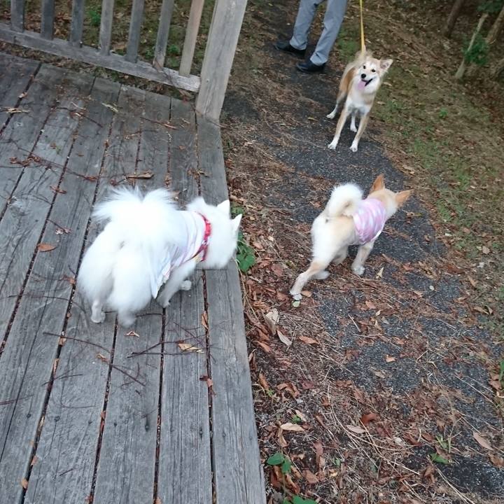 61035377 fa04 4ead 81a6 aaf390520a4e 1534510307530