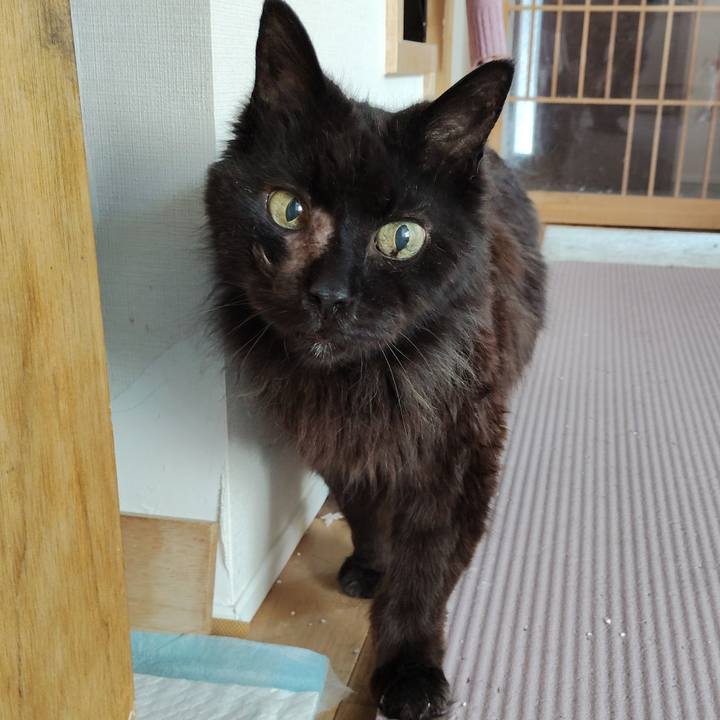 6103588a 120c 4c22 83db 360f47eb1e46 1776335013290