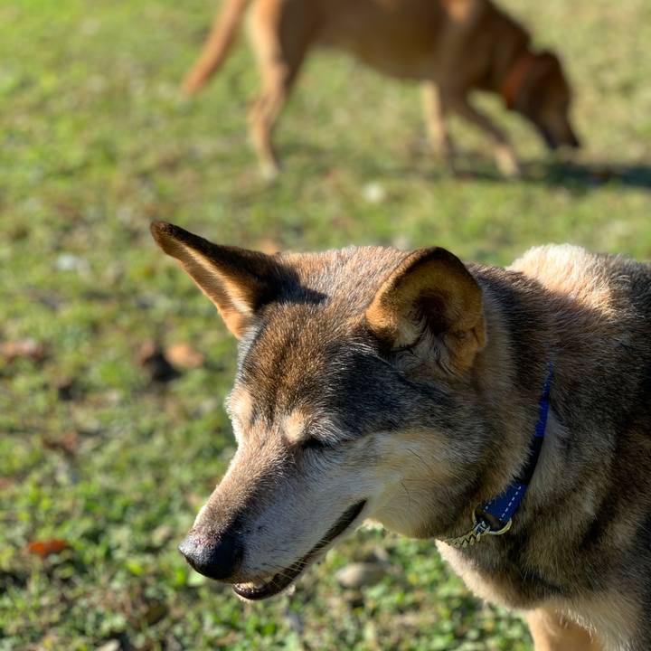 61035a6a 816d 4cf1 8214 fd5e7913b834 1573820192389