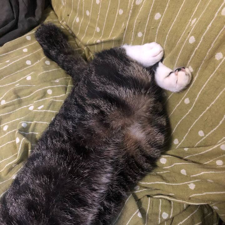 610388cd 8948 47d4 969c 34598fcca5ae 1598043644185