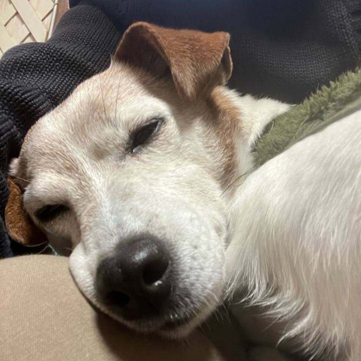 610392be 3610 48dd 89fa 3c2df49cdc02 1766794437171