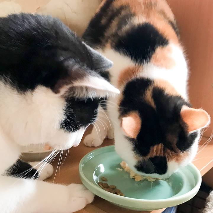 61039f29 41ad 43be 84c5 1b9e7a6ba947 1518396472612