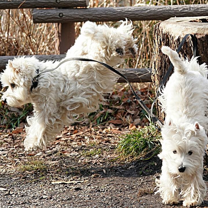 6103d748 8900 42fe 8e5e dc0c48592e0b 1517699529070